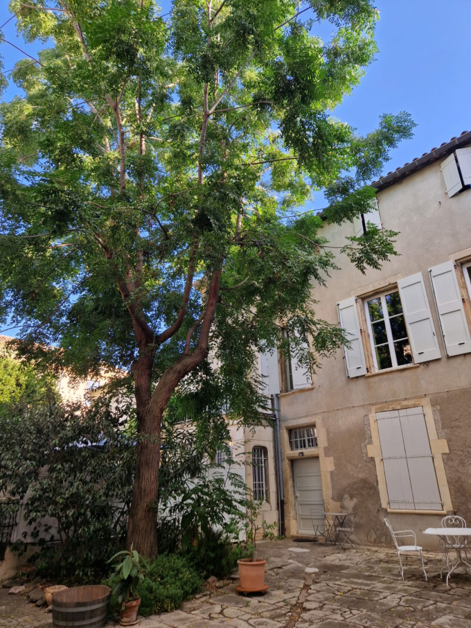 Offres de vente Appartement Narbonne (11100)
