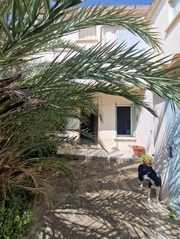 Offres de vente Maison de village Marcorignan (11120)