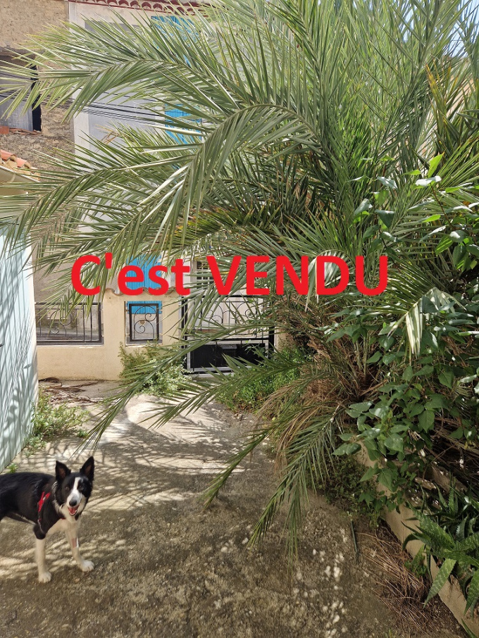Offres de vente Maison de village Marcorignan (11120)