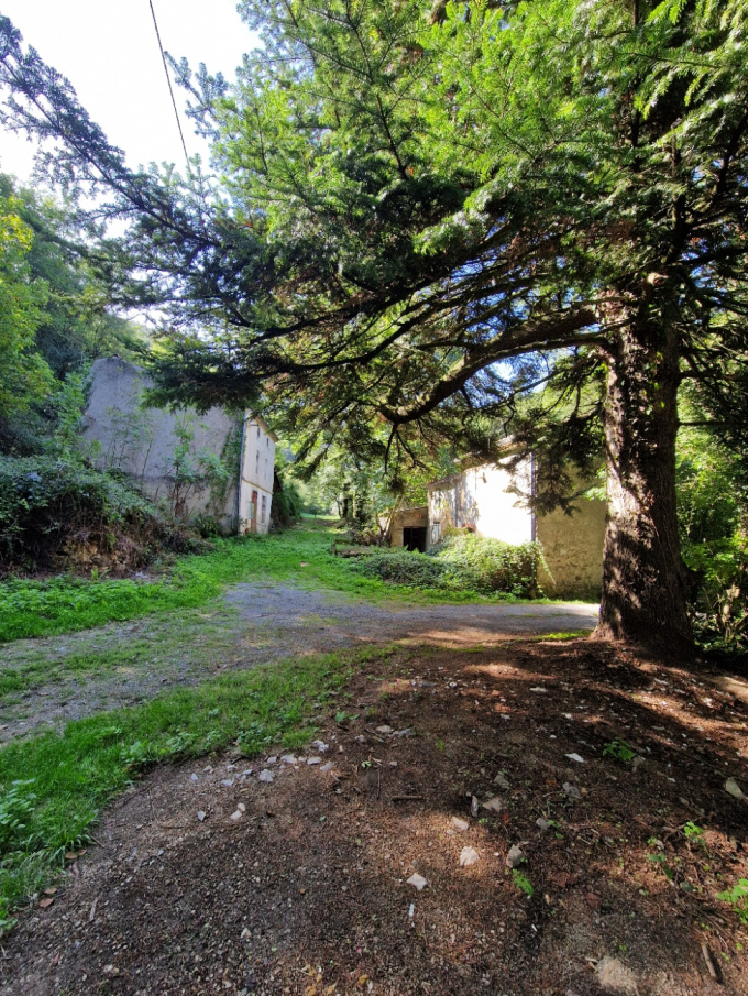 Offres de vente Maison / Villa Dourgne (81110)